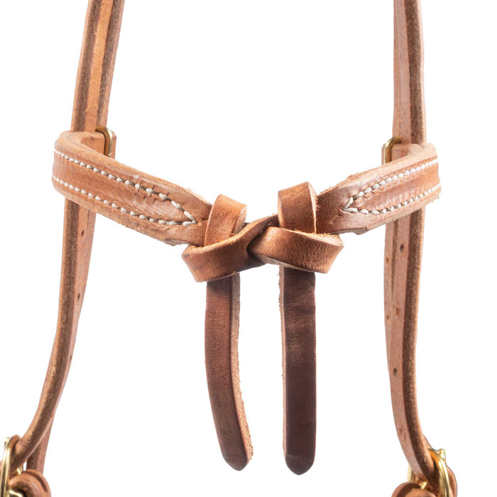 Teskey's Snap End Futurity Knot Headstall Tack - Headstalls Teskey's