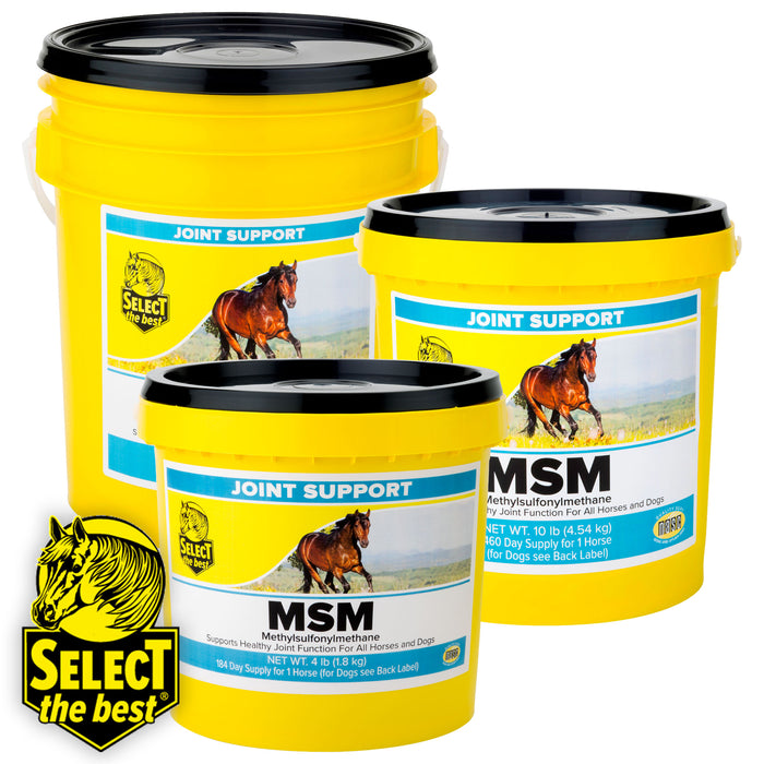 Select The Best MSM Equine - Supplements Select the Best