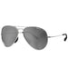 BEX Wesley Sunglasses ACCESSORIES - Additional Accessories - Sunglasses Bex Sunglasses Brushed Silver/Gray/Silver