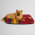 Pendleton Zion National Park Pet Napper Dog Bed Pets - Accessories Pendleton   