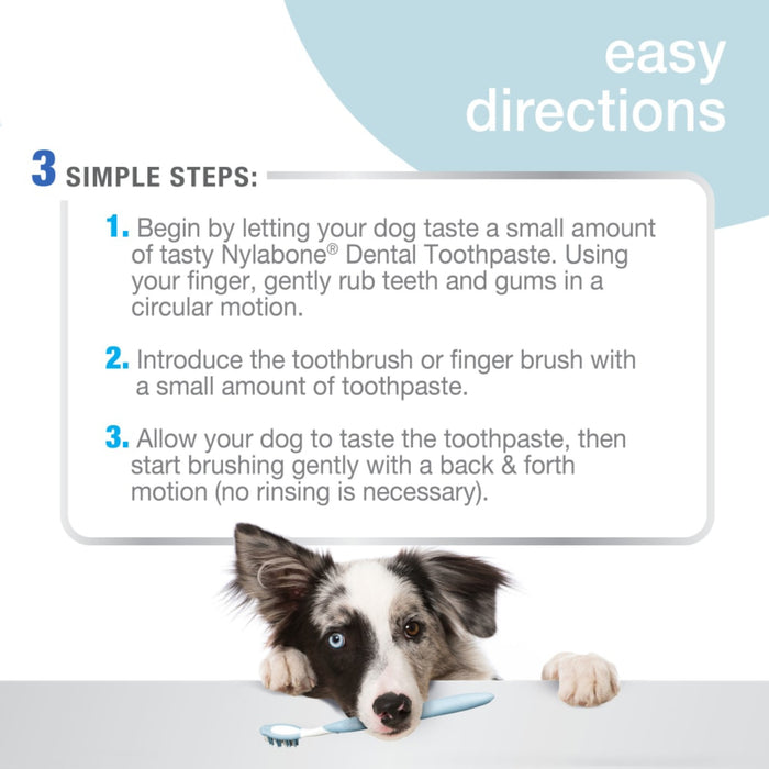 Advanced Oral Care Dental Kit
