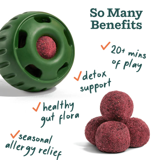 Allergy Support Pupsicle Refill Pops Pets - Toys & Treats Woof