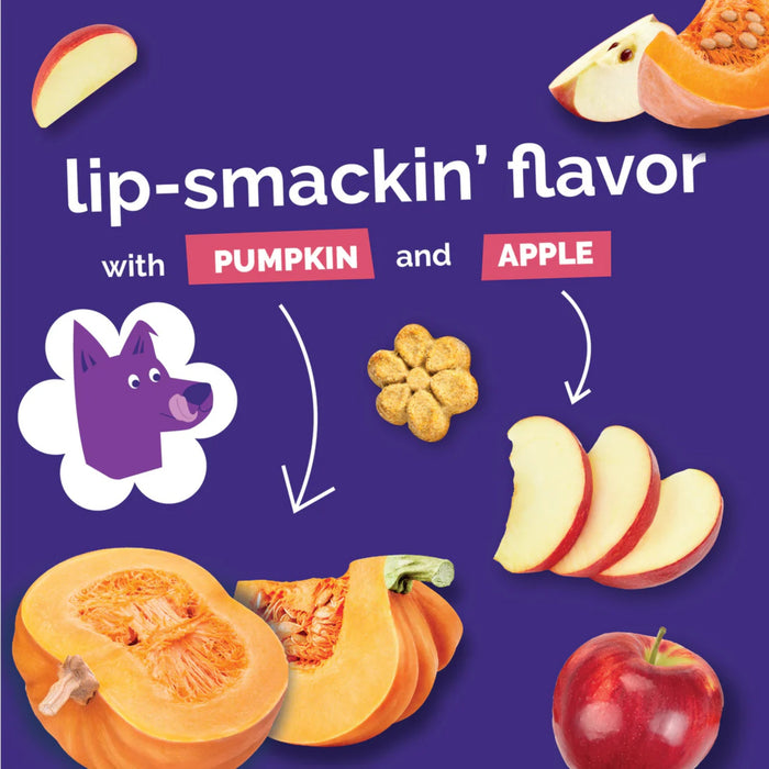 Fruitables Baked Pumpkin Apple Dog Treats Pets - Toys & Treats Fruitables