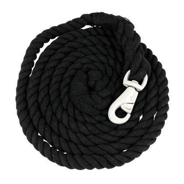 Halters & Leads