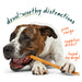 BullySafe Chews Pets - Toys & Treats Woof