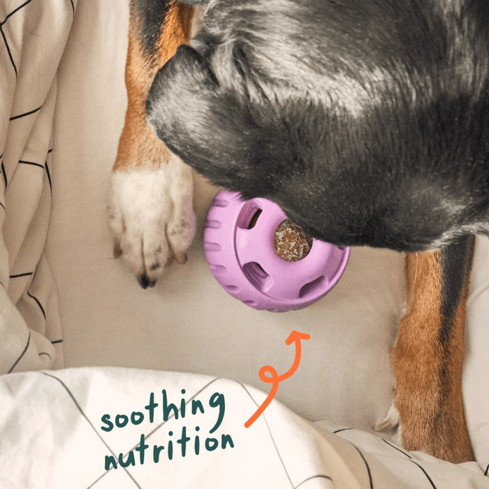 Calming Wellness Pupsicle Pops Pets - Toys & Treats Woof