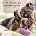 Calming Wellness Pupsicle Pops Pets - Toys & Treats Woof