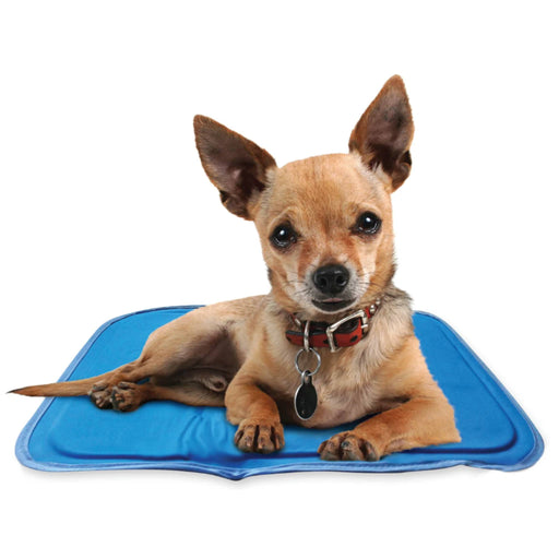Cool Pet Pad Pets - Accessory Green Pet
