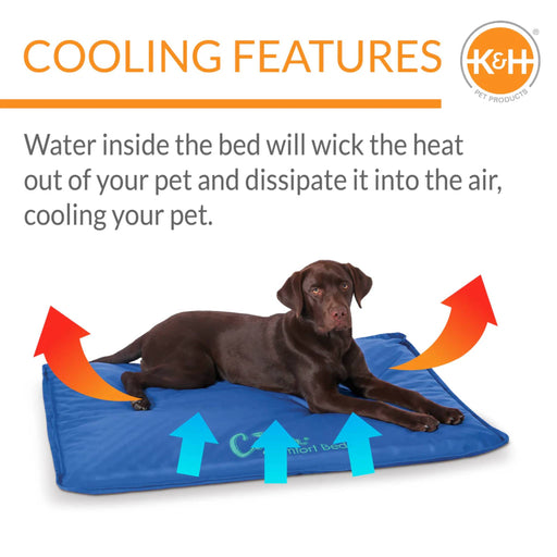 K&H Coolin' Comfort Bed Pets - Accessory K&H