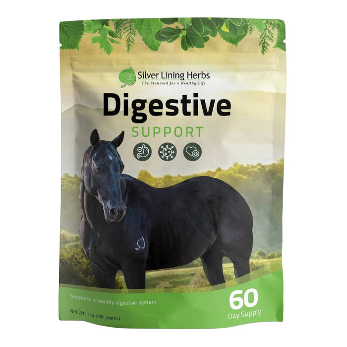 Silver Lining Digestive Support Equine - Supplements Silver Lining