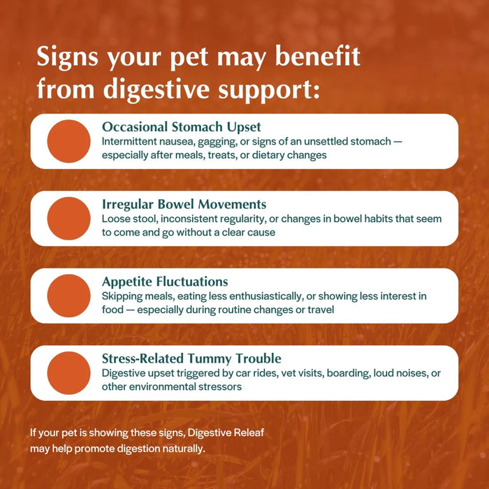 Digestive Releaf Sweet Potato Pie Hemp Edibites Pets - Vitamins & Supplements Cetyl M