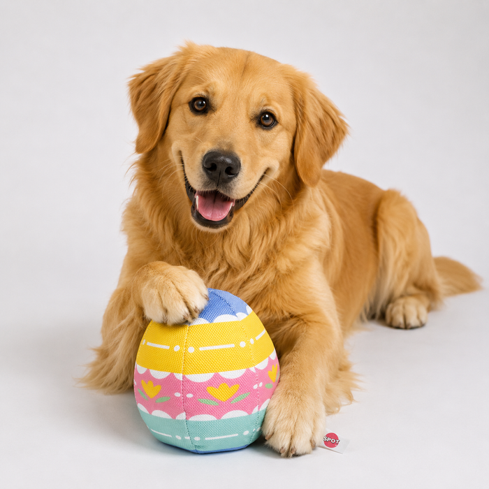 SPOT Easter Eggs Dog Toy Pets - Toys & Treats Ethical Products