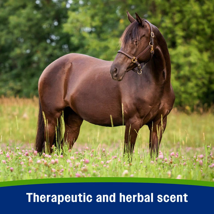Farnam EquiSect Fly Repellent Equine - Fly & Insect Control Farnam