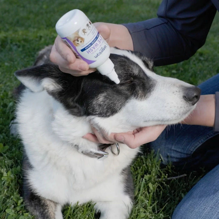 Vetericyn Antimicrobial Eye Wash First Aid & Medical - Topicals Vetericyn