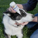 Vetericyn Antimicrobial Eye Wash First Aid & Medical - Topicals Vetericyn