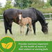 Farnam Mare Plus Equine - Supplements Farnam