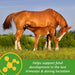Farnam Mare Plus Equine - Supplements Farnam