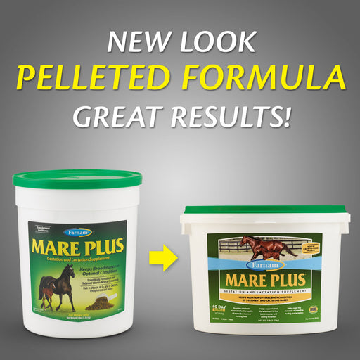Farnam Mare Plus Equine - Supplements Farnam