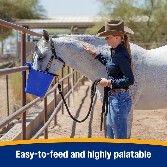 Farnam Simplifly Equine - Fly & Insect Control Farnam