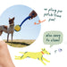 Woof Flyball 3 Pack Pets - Toys & Treats Woof