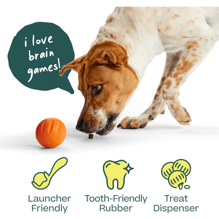 Woof Flyball 3 Pack Pets - Toys & Treats Woof