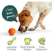 Woof Flyball 3 Pack Pets - Toys & Treats Woof