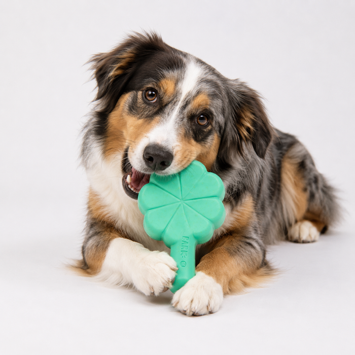 Bark Fur Leaf Clover Dog Toy Pets - Toys & Treats BARK