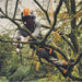 Stihl GTA 40 Battery Garden Pruner Garden Supplies - Tools & Equipment Stihl Equipment
