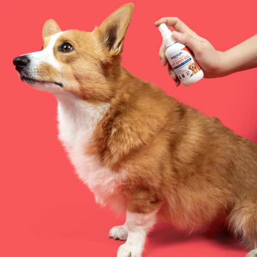 Vetericyn Hot Spot Gel First Aid & Medical - Topicals Vetericyn