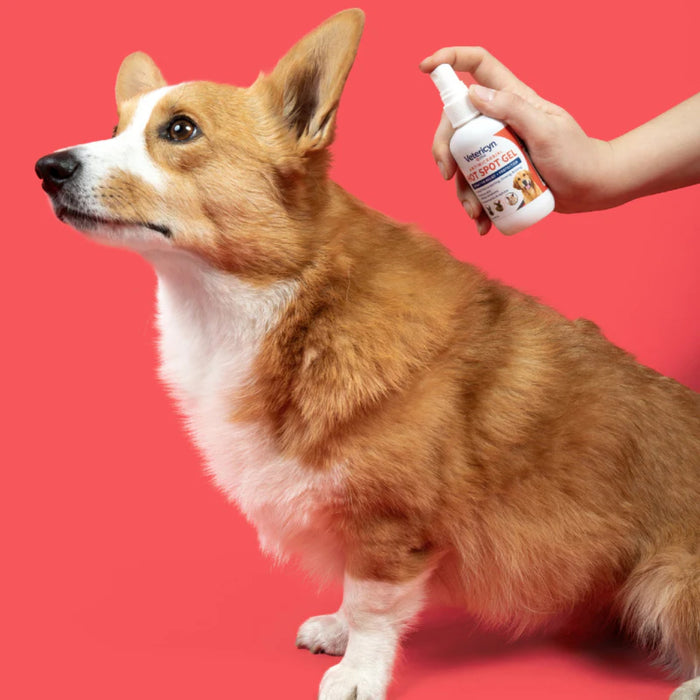 Vetericyn Hot Spot Gel First Aid & Medical - Topicals Vetericyn