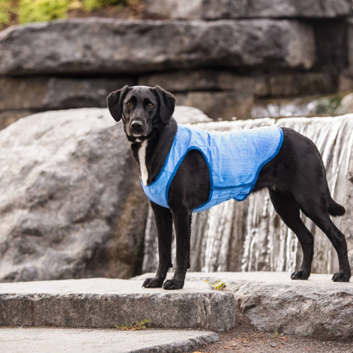 Elasto-Fit Ice Vest - Blue