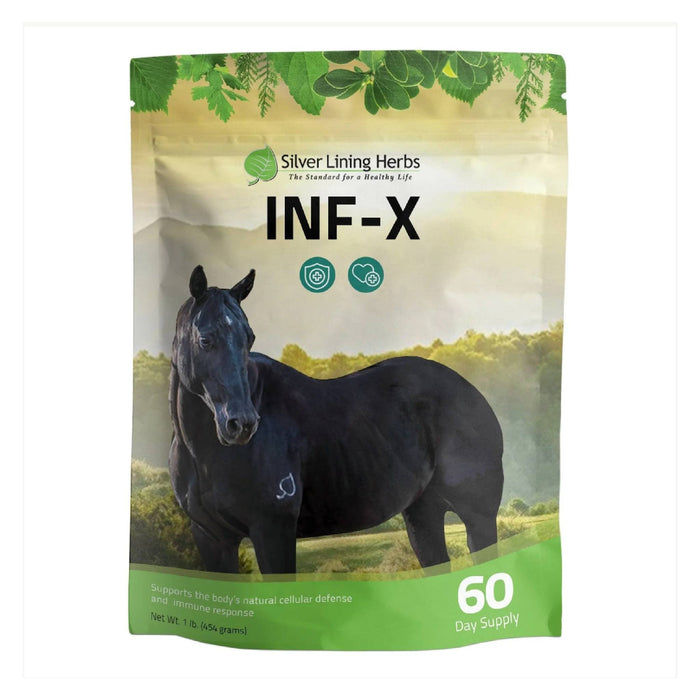 Silver Lining INF-X Equine - Supplements Silver Lining
