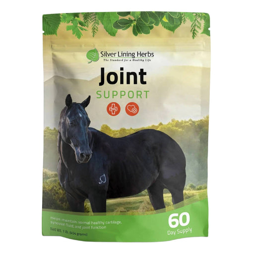 Silver Lining Joint Support Equine - Supplements Silver Lining
