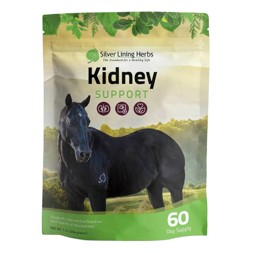 Silver Lining Kidney Support Equine - Supplements Silver Lining
