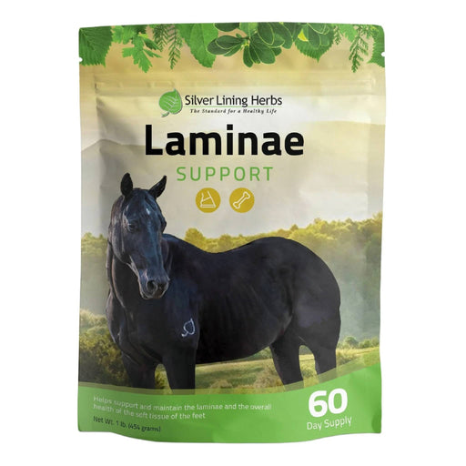 Silver Lining Laminae Support Equine - Supplements Silver Lining