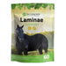 Silver Lining Laminae Support Equine - Supplements Silver Lining