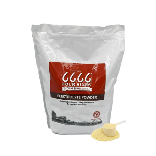 6666 Ranch Equine Electrolyte Recover Powder Equine - Supplements 6666 Collection 13.2 lb
