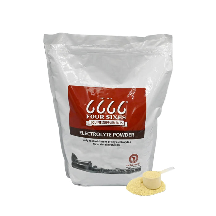 6666 Ranch Equine Electrolyte Recover Powder Equine - Supplements 6666 Collection 13.2 lb