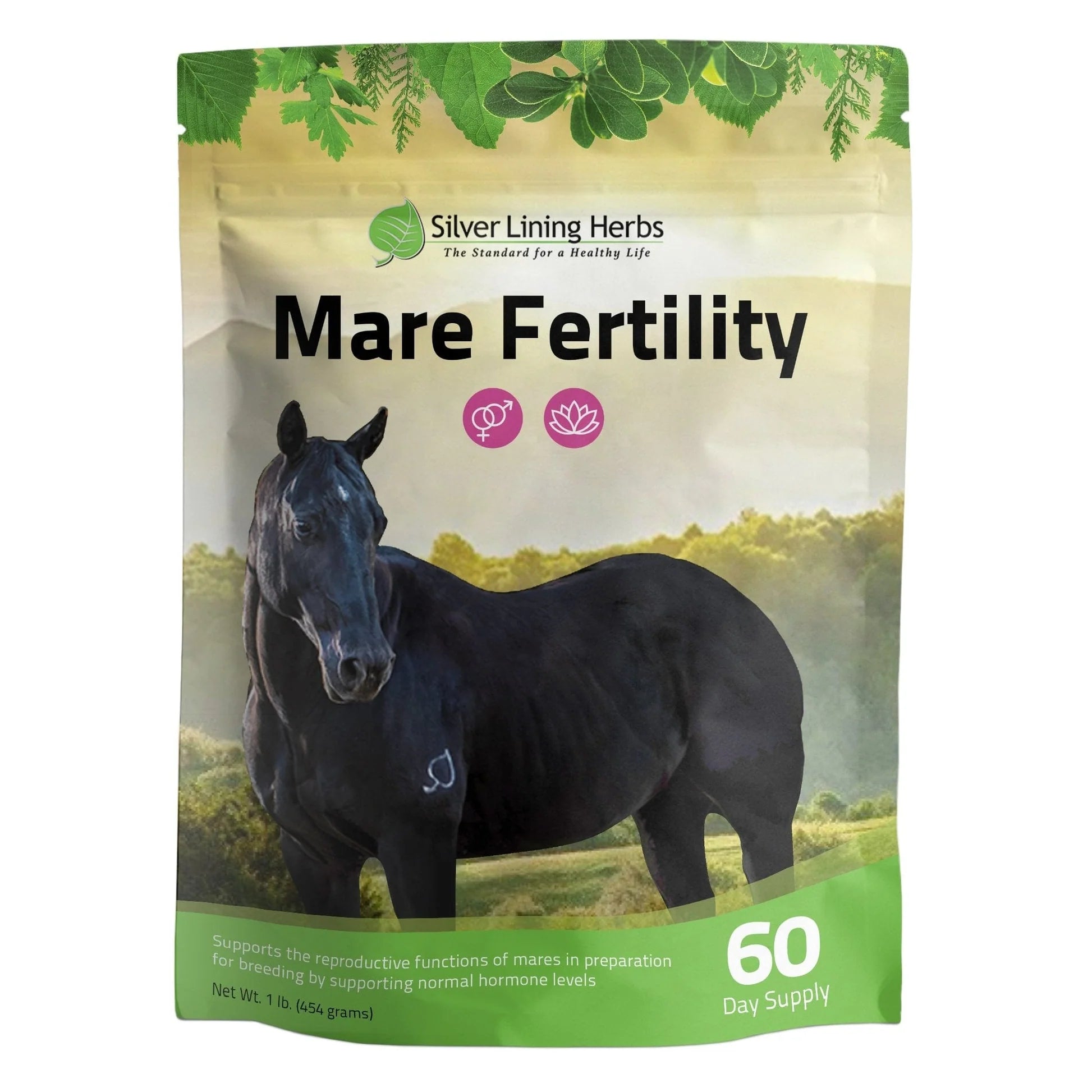 Silver Lining Mare Fertility Equine - Supplements Silver Lining