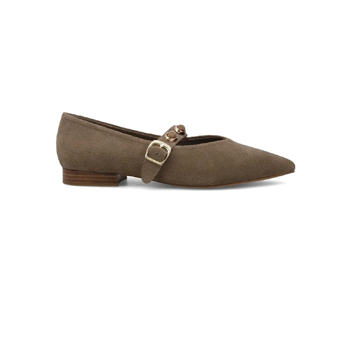 MIA Women"s Abrina Suede Shoe