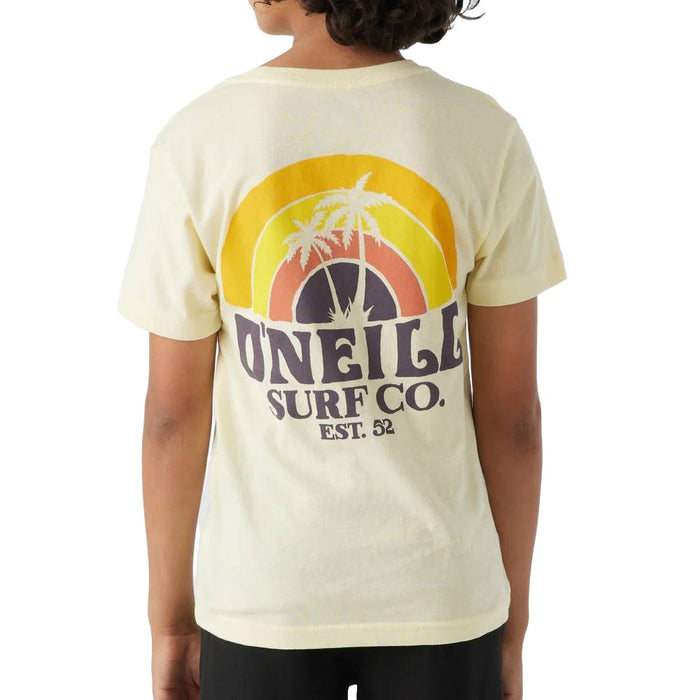 O'Neill Boy's Shaved Ice Tee - FINAL SALE KIDS - Boys - Clothing - T-Shirts & Tank Tops O'Neill   