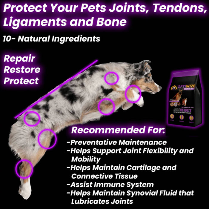 Optiwize Dog and Cat Joint Health Supplement
