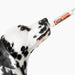 Ortho Pawz Immediate Response Paste Pets - Vitamins & Supplements Ortho Pawz