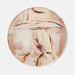 Out West Coaster Set HOME & GIFTS - Home Decor - Decorative Accents Tart by Taylor