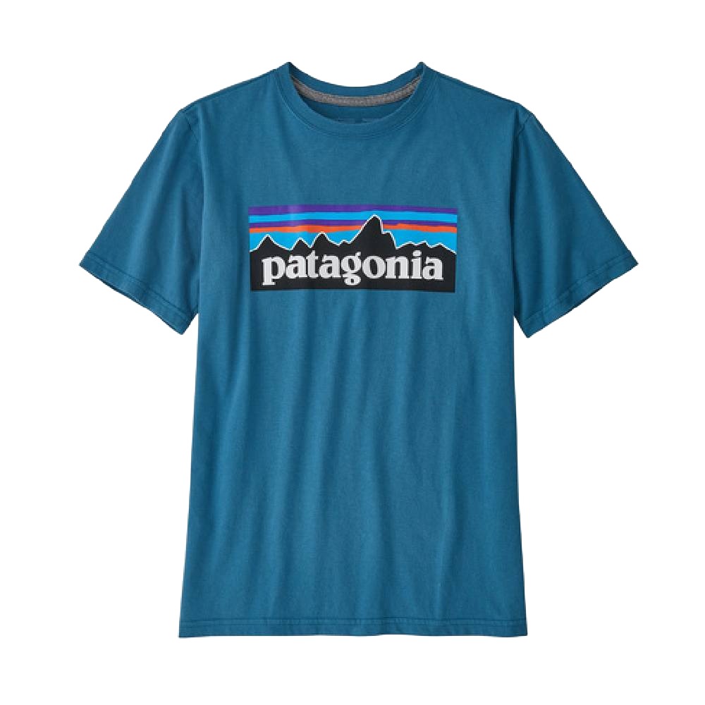 Patagonia Youth Organic P-6 Logo Tee KIDS - Boys - Clothing - T-Shirts & Tank Tops Patagonia   