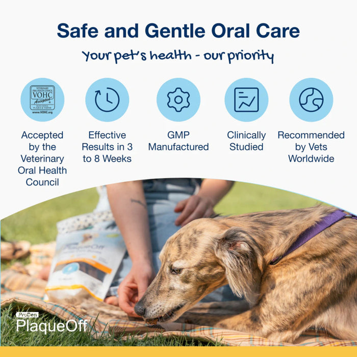 ProDen PlaqueOff Dental Care Bacon Flavor Bones