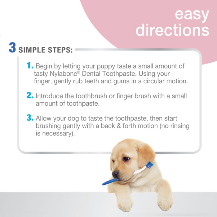 Advanced Oral Care Puppy Dental Kit