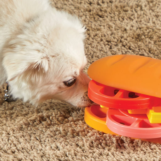 Pupstrami Surprise! Treat Puzzle Pets - Toys & Treats Brightkins