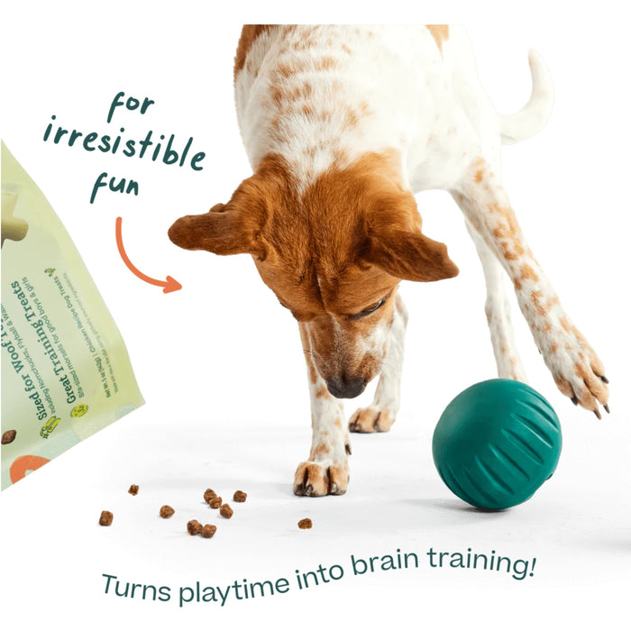 Woof Puzzle Treats