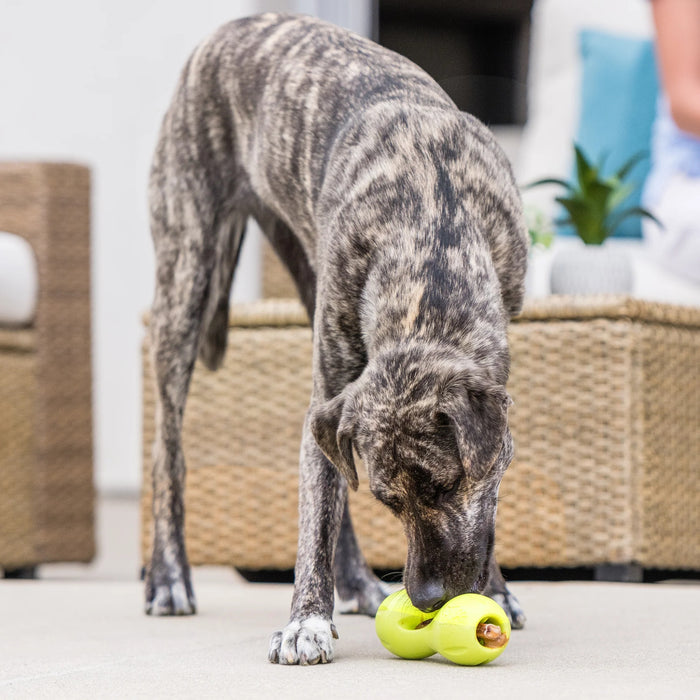 West Paw Qwizl Dog Puzzle Toy Pets - Toys & Treats West Paw